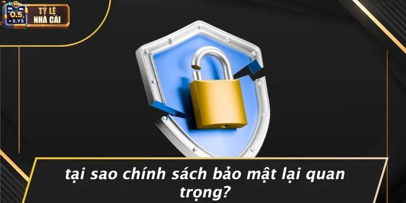 Tại Sao Chính Sách Bảo Mật Lại Quan Trọng?