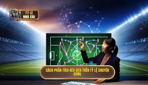 Cách phân tích kèo dựa trên tỷ lệ chuyền bóng
