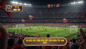 Soi kèo các trận đấu cúp liên đoàn Tây Ban Nha