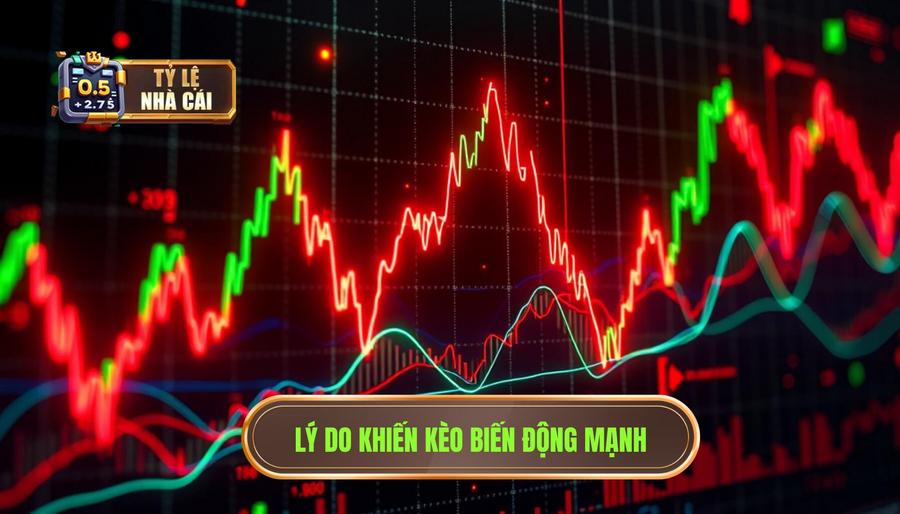 Nguyên nhân dẫn đến sự biến động kèo cực mạnh